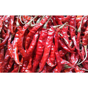 Piment rouge séché entier allongé cru biologique 100% pur Herbes et épices uniques FitTree International Export Standard - Product Image 3