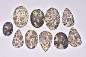 Cabujones de Jaspe Asteroides de Grado Premium para Joyería - Product Image 2