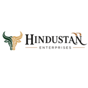 HINDUSTAN ENTERPRISES logo