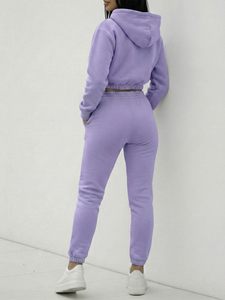 Ensemble de survêtement assorti pour femmes, sweat à capuche court à manches longues et pantalon de jogging, fournisseur en gros - Product Image 2