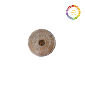Blocs de tourbe de coco pour des applications de jardin avec l'excellente conservation de l'eau et l'idéal équilibré de pH emballé dans des cartons ou des palettes - Product Image 4