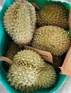 ทุเรียนสดเวียดนาม รุ่นริ6 มุนทอง ผลไม้ธรรมชาติสำหรับรับประทานสด ของหวาน สมูทตี้ บริการจัดเลี้ยง และขายส่ง - Product Image 3