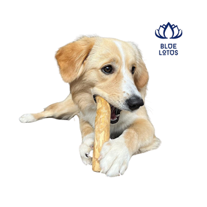 FAVORI DES CLIENTS 2026 Jouet à mâcher en bois de café longue durée pour chien, pour l'entraînement à la mastication et le soulagement du stress - Product Image 1