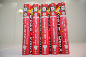 Volant de badminton professionnel en plumes d'oie et graphite, haute durabilité pour les tournois, l'école, le club et l'entraînement - Product Image 2