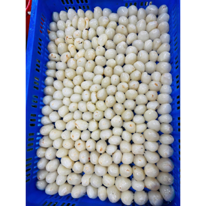 Litchis surgelés IQF de haute qualité, sans sucre ajouté, fruit tropical sucré, emballés sous vide, en vrac pour la transformation alimentaire commerciale - Product Image 3