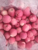 Leveren Rode Fuji Appel Verse Fuji Appels Uit China Rode Heerlijke Appels Export Met Lage Prijs Uit China