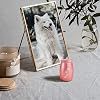 Pet Urn Teardrop Shape Stainless Steel Airtight <b>Dog</b> Memorial Pink With Paw Prints - Product Image 6