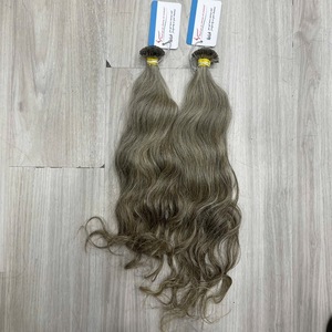 Premium high quality Keratin Tip Hair Extension K Tip European Gray Natural Straight Vietnamese Tip Hair - Product Image 6