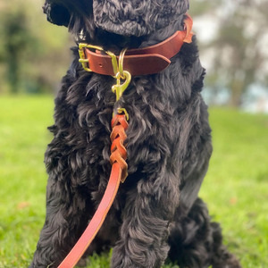 Handmade Leather <b>Braided</b> Dogs pet Collars with metal buckle for secure dog walking and training activities in low price - Product Image 5