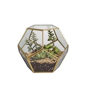 Elegant Glass Box Metal Terrarium Planter Geometric Indoor Plant <b>Display</b> <b>Case</b> Modern Home Table Decor Accent - Product Image 6