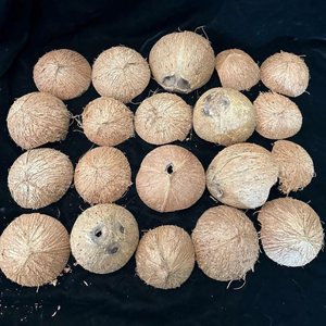 เปลือกมะพร้าวดิบ (บดละเอียด) จากอินเดีย ทางเลือกที่เป็นมิตรต่อสิ่งแวดล้อมสำหรับเชื้อเพลิงชีวภาพถ่านยี่ห้อ Seeniz Coco อายุการเก็บรักษา 3 ปี เกรด A แห้งพิเศษ - Product Image 3