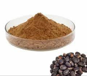 Pure Mucuna <b>Extract</b> Powder Premium Quality Wholesale Bulk <b>Extract</b> 50% - Product Image 1