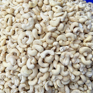Fournisseur de confiance au Vietnam : Noix de cajou brutes comestibles, qualité supérieure LWP, brisées, exportées vers l'Asie, l'UE et le Moyen-Orient - Product Image 1