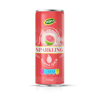 Vietnam Beverage Company OEM/ODM Verbetert de spijsvertering, gearomatiseerd natuurlijk fruit sap, frisdrank, bruisend passievrucht frisdrank