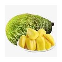 Verse Jackfruit Hele/Verse Jackfruit Te Koop Vers Jackfruit Fruit Uit Vietnam