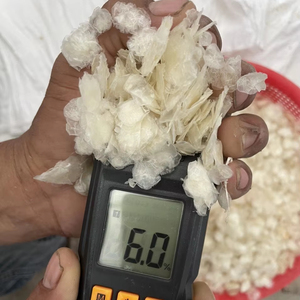 ESCALAS DE PESCADO DE ALTA CALIDAD/PROVEEDOR AL POR MAYOR ESCALAS DE PESCADO SECAS // Sra. Lily - Product Image 1