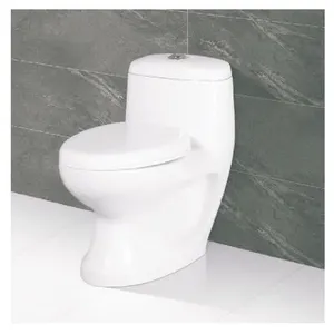 Hochwertige einteilige Toilette Einzeleinheit Integrierende Behälter und Schüssel hochwirksam und bequem