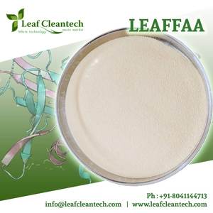 อัลฟาอะไมเลสเชื้อราเอนไซม์สำหรับอาหารและโภชนาการ - Product Image 2