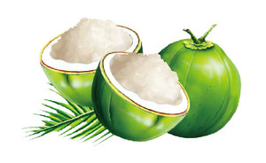 Cubes de Nata de Coco Premium en Sirop, Gommes de Coco avec Graines de Basilic, Prêts à Consommer, Ingrédient de Dessert Tropical pour Bubble Tea - Product Image 1
