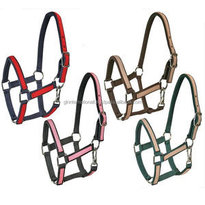 <b>Heavy</b> <b>Duty</b> Triple Layer Two Tone Nylon Webbing Multiple Colors Nylon Horse Halter with stainless steel nickel hardware - Product Image 3