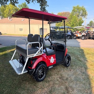 Carritos de golf eléctricos de un solo asiento para adultos en buen estado, funcionando, tipo Club Car, a bajo precio, al por mayor, en stock para la venta. - Product Image 5