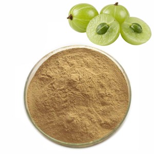 Polvo de Amla Premium, Polvo Puro de Grosella Indio, Rico en Vitamina C Natural para el Bienestar Inmunológico y el Apoyo Nutricional Diario - Product Image 2