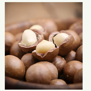 Nueces de macadamia de calidad alimentaria, la mejor calidad, baratas, en venta - Product Image 6