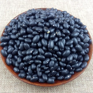 ถั่วแดงเม็ดใหญ่ ไทยแท้ อบแห้ง ปลูกแบบทั่วไป บรรจุภัณฑ์แบบขายส่ง - Product Image 3