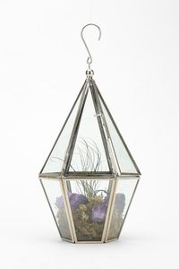 Modern Geometric Glass <b>Terrariums</b> Gold Plated Frame Succulent Planters Desktop Decor Minimalist Style Hanging Design - Product Image 3