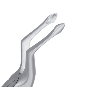 Pinzas de Extracción Atraumáticas Dentales de 51 Dientes Superiores, Instrumento Quirúrgico de Acero Inoxidable para Extracción de Dientes - Product Image 5