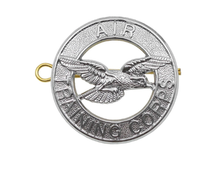 Écusson métallique Aigle du Corps de l'entraînement aérien, finition argentée, emblème pour béret, conception personnalisée - Product Image 1