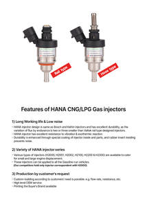 HANA 2001 Assemblage d'injecteur de carburant Nouvel état Excellente durabilité Soupapes d'injection à vendre - Product Image 3
