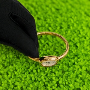 Montre pour femme de luxe de haute qualité en gros, mouvement mécanique, étanche, or rose, acier inoxydable, montre pour femme - Product Image 3