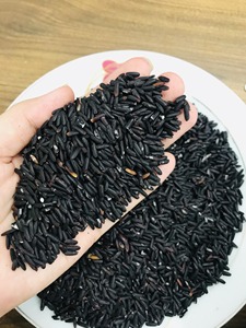 Arroz negro glutinoso/pegajoso de Vietnam fabricante vilaconic arroz saludable de alta calidad para exportación Whatsapp + 84 969 732 947 - Product Image 3