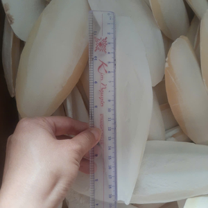 Hueso de Sepia Premium de 4-6 Pulgadas, Empaque en Blíster, 100% Natural, Fuente de Calcio para el Cuidado de Picos de Aves, 21 - Product Image 4