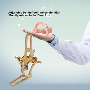 Articulador Dental de Laboratorio Tipo Horquilla, Totalmente Dorado, Ajustable, Certificado CE por Grip Surgical - Product Image 3