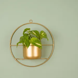 Gold Metal Circular Wall <b>Hanging</b> <b>Planter</b> with Round Frame | Modern Decorative Flower Pot Holder <b>for</b> <b>Indoor</b> Living Room Office - Product Image 3