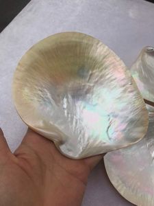 Cuchara Glam Shell de Nácar Plateada, Ecológica, de Lujo, con Acabado Espejo, Duradera, Diseño Vintage - Product Image 1