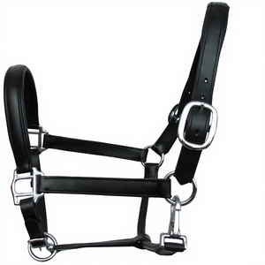 Cabestro de cuero acolchado de lujo, elegante, perfecto, ajustable, a la moda, con herrajes de latón, para caballos, venta al por mayor, popular, de primera calidad - Product Image 1