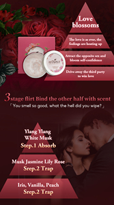 Private Label Solid Perfume for Women Portable Fragrance Balm OEM Custom Scent Packaging - Product Image 5