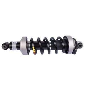 Audi R8 D 2007-2015 Rear Air Shock Absorber 420512019AG & 420512020Q Product Line - Product Image 1