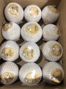 Coco pulido de fácil apertura, grado de exportación de Vietnam Ben Tre para importadores - Product Image 2