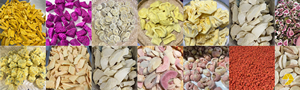 Wholesale Freeze-Dried Pineapple - Product Image 2
