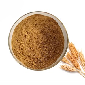 Extracto de Cebada en Polvo 10:1 de Alta Demanda, Extracto Puro de Hordeum Vulgare, Polvo de Cebada Malteada Natural para Alimentos y Bebidas - Product Image 4