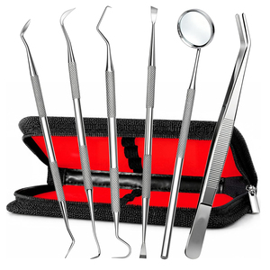 Kit de Higiene Dental de Acero Inoxidable OEM, Herramientas de Limpieza Dental, Removedor de Sarro y Placa, Set de Cuidado Bucal con Estuche de PU - Product Image 1