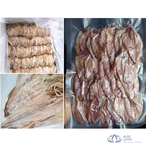 Meilleures ventes : Calamars et calamari séchés de qualité supérieure, snacks de fruits de mer pour la cuisson et la grillade, emballage sous vide, normes européennes, approvisionnement en gros, Vietnam - Product Image 5