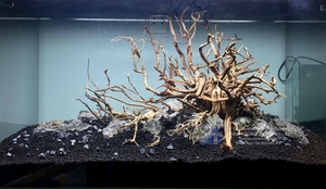 Décorations d'aquarium en bois flotté naturel de qualité supérieure, forme irrégulière, utilisation durable pour l'aquascaping et les terrariums, fabriqué au Vietnam - Product Image 3