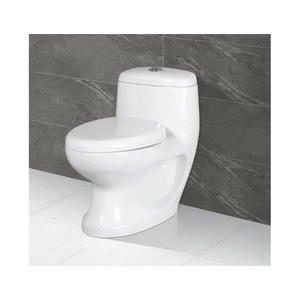 Toilette intelligente monobloc de luxe de haute qualité du fabricant indien Design moderne monté au sol Garantie à vie Salle de bain Premium - Product Image 1