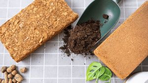 Blocs de copeaux de coque de noix de coco 100% naturels 5 kg |   Copeaux de noix de coco bio compressés pour l'hydroponie et l'agriculture - Product Image 5