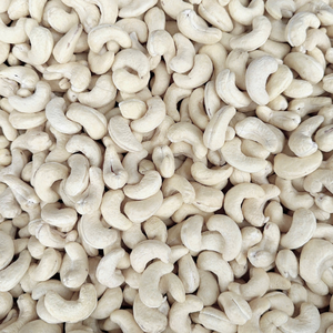 Haccp Certificate Raw Cashew Nuts W320 Customized Packing Free Print Logo From SANTIGO Vietnam - Product Image 1